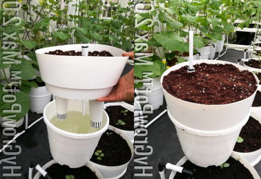 HYGROWPOT MAX